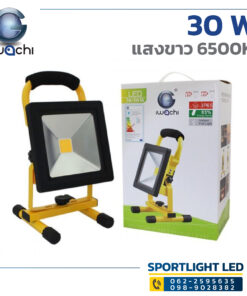 ไฟสปอร์ตไลท์-IWACHI-LED-Floodlight-TGD-005-30W